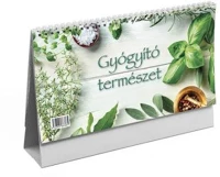 Toptimer COR_NKT058GYU Naptár, asztali, álló, 