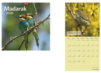 Toptimer COR_NKT09418U Naptár, fali,  