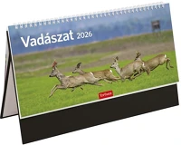 Toptimer T543T-003 Asztali naptár képes  t054 álló fehér lapos vadászat fekete 2026. kép