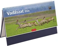 Toptimer T543T-004 Asztali naptár képes  t054 álló fehér lapos vadászat kék 2026. kép