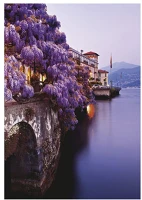 Toptimer T9200-16A Falinaptár  t092 315x450mm álló romantic corners 2026. kép