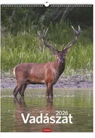 Toptimer T9300-01A Falinaptár  t093 310x420mm álló vadászat 2026. kép