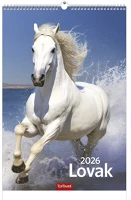 Toptimer T9400-07A Falinaptár t094 220x330mm álló lovak 2026. kép