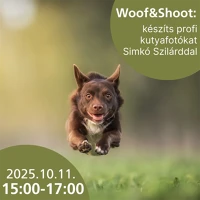 Tripont 2025.10.11. 15:00-17:00 Részvételi jegy - woof & shoot: készíts profi kutyafotókat simkó kép