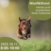 Tripont 2025.10.11. 8:00-10:00 Részvételi jegy - woof & shoot: készíts profi kutyafotókat simkó kép
