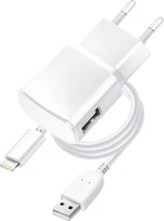 Univerzális PT5901737183729 Bluestar töltő - usb / lightning univerzális fehér hálózati töltőfej kép