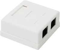 Vez UTP, 2XRJ45 Fali aljzat - 05385 (cat5e, utp, 2xrj45, árnyékolatlan, fehér) kép