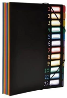 Viquel COR_IV118967 Irattartó mappa, gumis, 12 részes,  