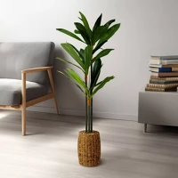 Vog und arths 1,1-1,2 M Műnövény dekoráció - dracaena fragrans - 1,1-1,2 m kép