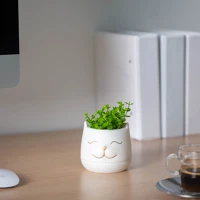 Vog und arths 11849 Műnövény dekoráció - macskafej - 9 x 14 cm - 3 féle kép