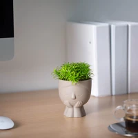 Vog und arths 11850 Műnövény dekoráció - emberfej - 9 x 14 cm - 4 féle kép