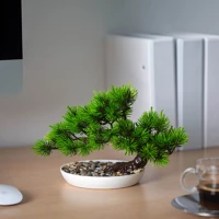 Vog und arths 11871 Műnövény dekoráció - japán feketefenyő - 25 x 18 cm kép