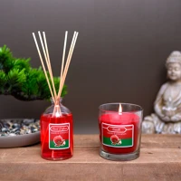 Vog und arths 58800A Illatgyertya és illatosító szett - alma  és  fahéj - 120 g + 100 ml kép