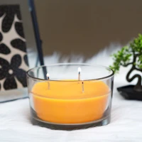 Vog und arths 58809B Illatgyertya - trópusi - 350 g kép