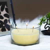 Vog und arths 58809C Illatgyertya - vanília - 350 g kép