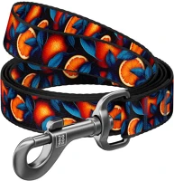 Waudog 35;039;'ORANGES''; Nylon dog leash, pattern ''oranges'' length 122 cm kép