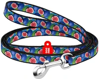 Waudog 4201000090-3 Nylon dog leash 20 mm wide, 122 cm long 