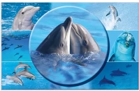 Herma 19087 Könyöklő  55x35 cm delfinek kép