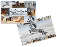 Herma 19380 Könyöklő  55x35 cm lovak kép