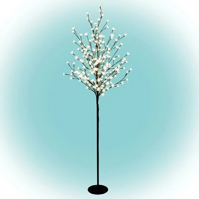 <span itemprop='brand'>Somogyi</span> <span itemprop='sku'>CBT 200</span> nagyítás