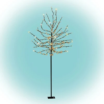 <span itemprop='brand'>Somogyi</span> <span itemprop='sku'>CBT 320</span> nagyítás