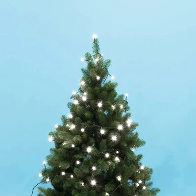 Somogyi KII100/WH nagyítás