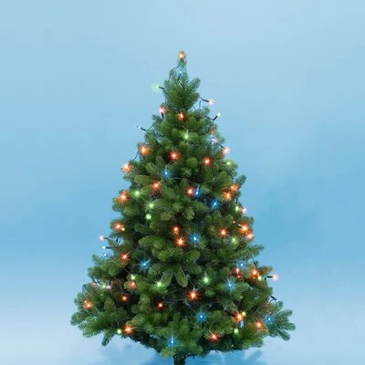 Somogyi KII50/M nagyítás