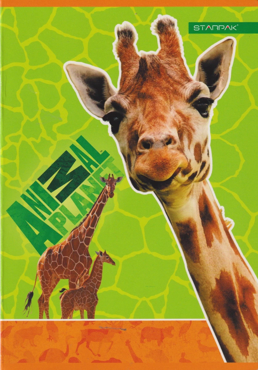 Starpak 653845ROB1 nagyítás