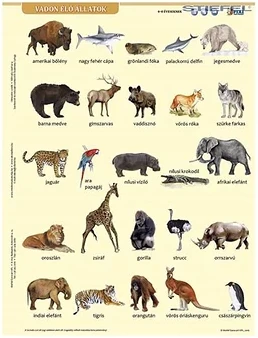 Stiefel 15.00584 nagyítás