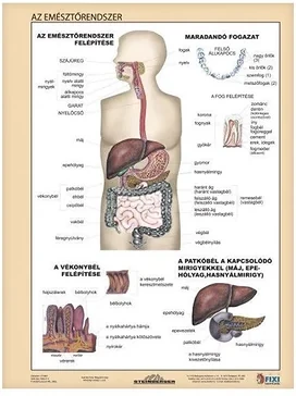 Stiefel 15.19258 nagyítás