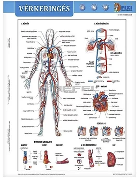 Stiefel 15.19259 nagyítás