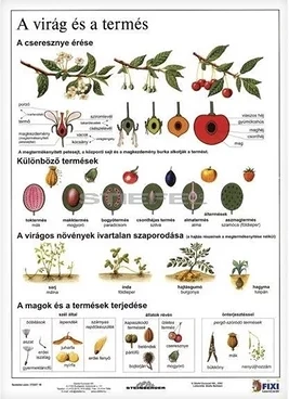 Stiefel 15.19262 nagyítás