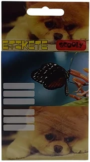 Street 15.16165 nagyítás