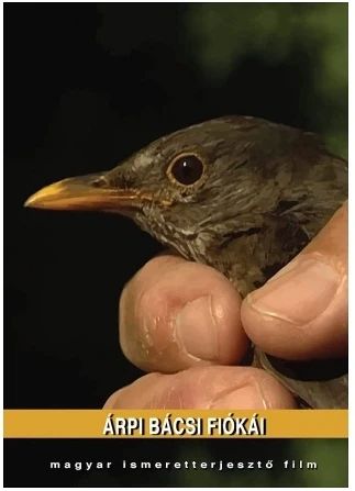Természetfilmhu TERARPIBACSIFOK nagyítás
