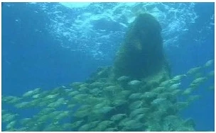 Természetfilmhu TERMÉSZETFILM.HU A nagyítás