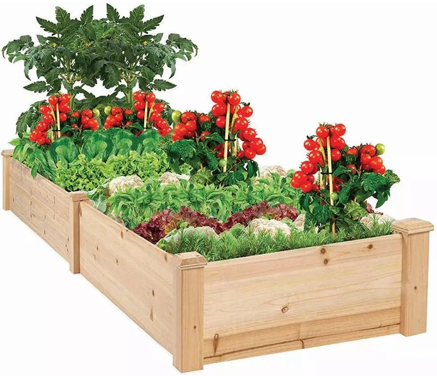 Fa HOP1001188 nagyítás