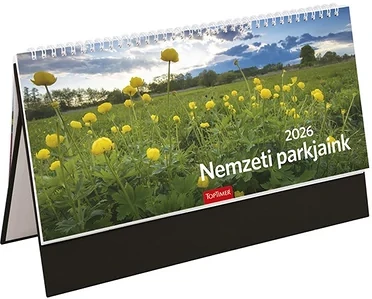 Toptimer 23.0082001 nagyítás