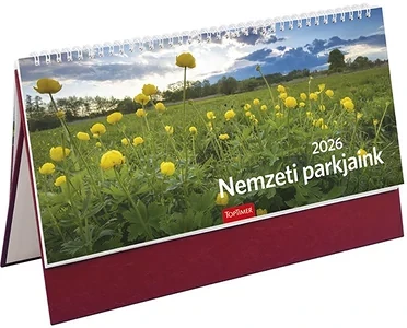 Toptimer 23.0082012 nagyítás