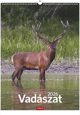 Toptimer 23.01200 nagyítás