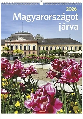 Toptimer 23.01203 nagyítás