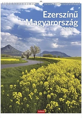 Toptimer 23.01206 nagyítás