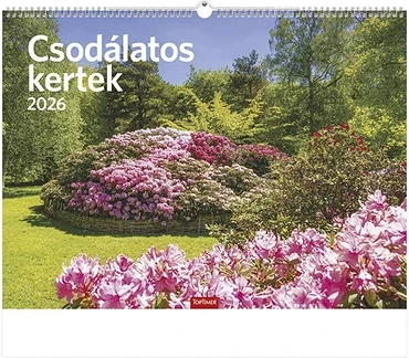 Toptimer 23.01223 nagyítás