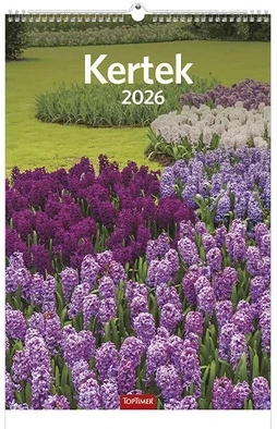 Toptimer 23.01228 nagyítás