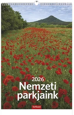 Toptimer 23.01230 nagyítás