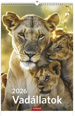 Toptimer 23.01235 nagyítás