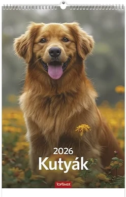 Toptimer 23.01237 nagyítás