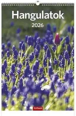 Toptimer 23.01239 nagyítás