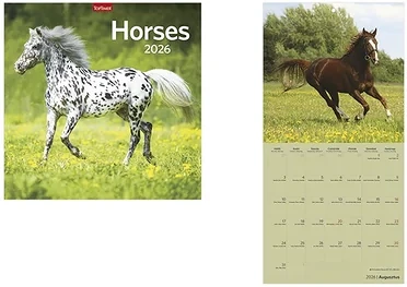 Toptimer 23.01262 nagyítás