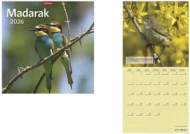 Toptimer 23.01264 nagyítás