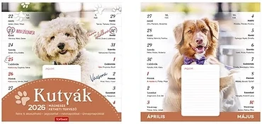 Toptimer 23.0127002 nagyítás